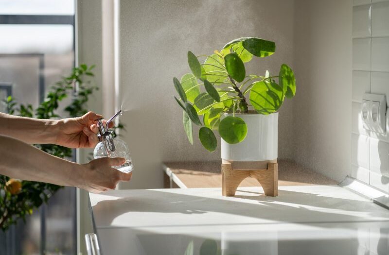Rośliny doniczkowe idealne do aranżacji łazienki