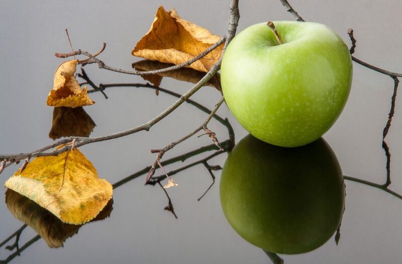 Walka ze szkodnikami jabłoni: Metody zwalczania niechcianych owadów i pasożytów na jabłoniach