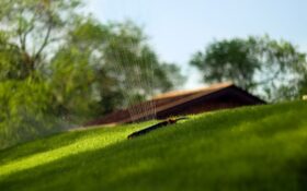 Automatyczne nawadnianie trawy - co należy wiedzieć