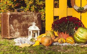 15 pomysłów na ozdoby z dyni do jesiennej dekoracji balkonu, tarasu i ogrodu: magiczne inspiracje